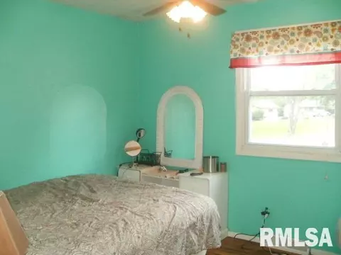 1465 E Sycamore, Canton, IL 61520 photo 18