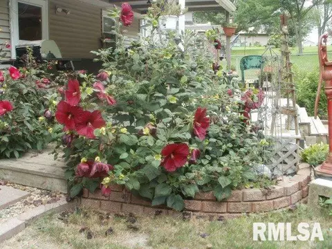 1465 E Sycamore, Canton, IL 61520 photo 31