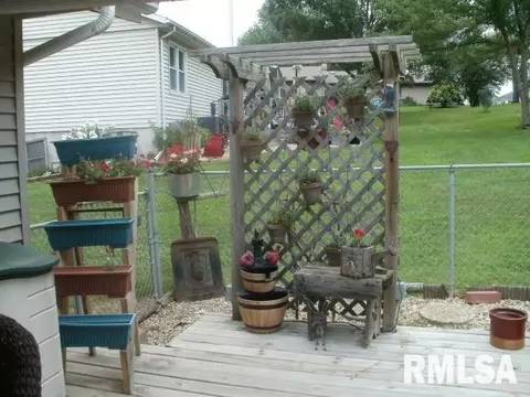 1465 E Sycamore, Canton, IL 61520 photo 25