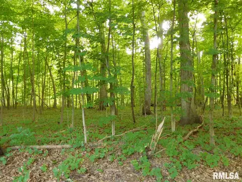 231 Kickapoo Ct, Hopewell, IL 61565 photo 32