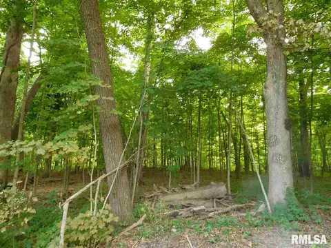 231 Kickapoo Ct, Hopewell, IL 61565 photo 31