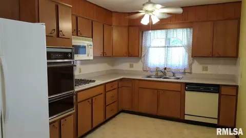 1360 Elm St, Canton, IL 61520 photo 3