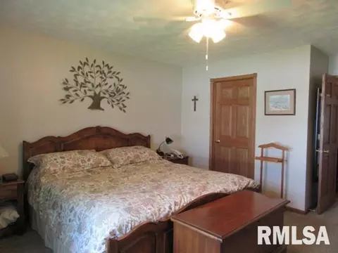 1265 E Sycamore, Canton, IL 61520 photo 24