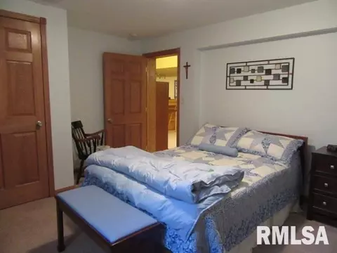 1265 E Sycamore, Canton, IL 61520 photo 33