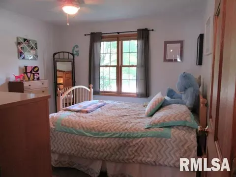 1265 E Sycamore, Canton, IL 61520 photo 19