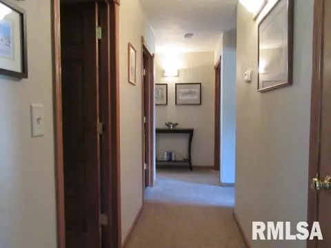 1265 E Sycamore, Canton, IL 61520 photo 22