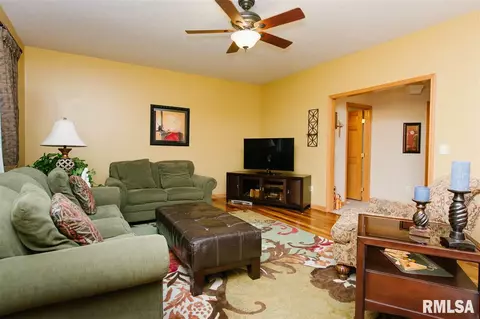 2408 W Murphy Dr, Dunlap, IL 61525 photo 10
