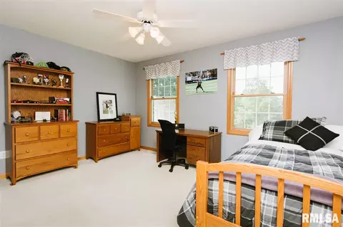 2408 W Murphy Dr, Dunlap, IL 61525 photo 27