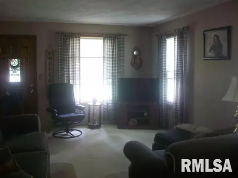 705 S 2nd Ave, Canton, IL 61520 photo 19