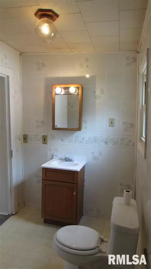 602 E 5th, Delavan, IL 61734 photo 16