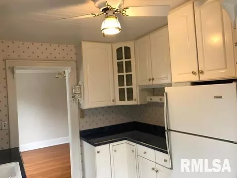 105 N Kickapoo Ter, Peoria, IL 61604 photo 6