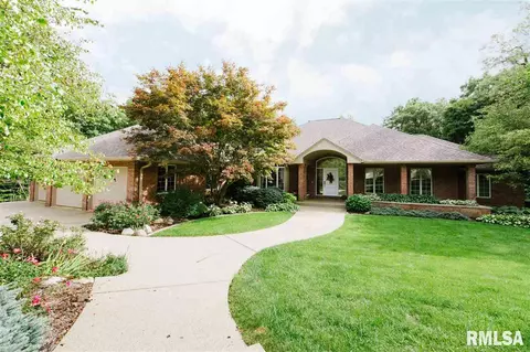 206 W Greystone Ct, Dunlap, IL 61525 photo 1