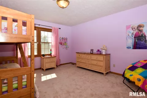 2417 W Monica, Dunlap, IL 61525 photo 28