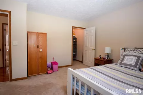 2417 W Monica, Dunlap, IL 61525 photo 27