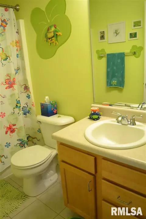 11517 N Ballymore Ave, Dunlap, IL 61525 photo 24