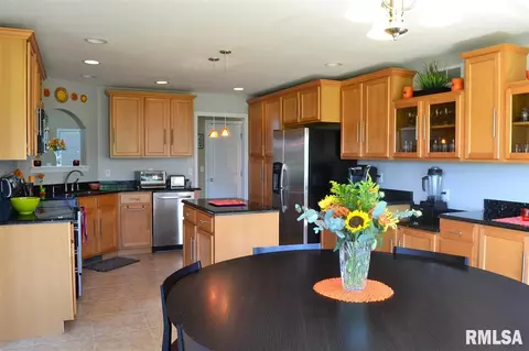 11517 N Ballymore Ave, Dunlap, IL 61525 photo 8