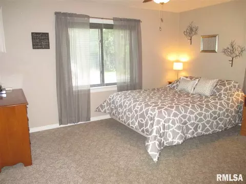 207 W Bertram St, Metamora, IL 61548 photo 13