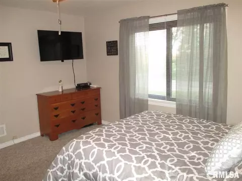207 W Bertram St, Metamora, IL 61548 photo 12