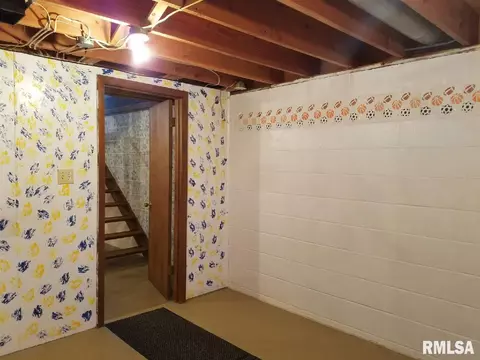 101 E Locust Ln, Cuba, IL 61427 photo 25