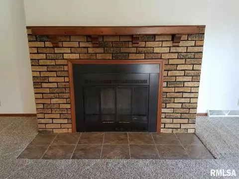 101 E Locust Ln, Cuba, IL 61427 photo 16