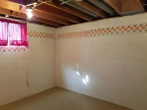 101 E Locust Ln, Cuba, IL 61427 photo 26
