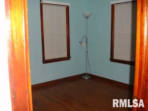 335 Thompson Ct, Canton, IL 61520 photo 5