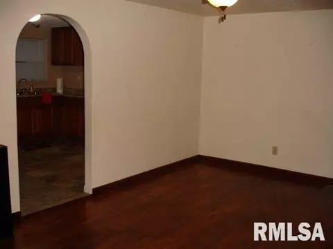 335 Thompson Ct, Canton, IL 61520 photo 4