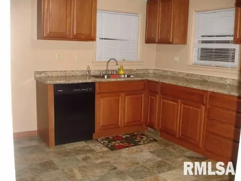 335 Thompson Ct, Canton, IL 61520 photo 2