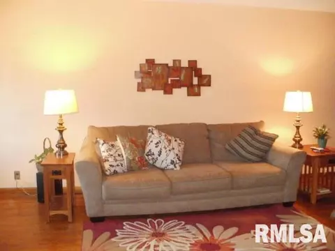 1495 E Chestnut, Canton, IL 61520 photo 11