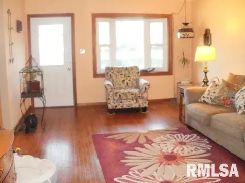 1495 E Chestnut, Canton, IL 61520 photo 13