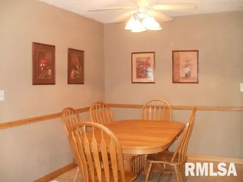1495 E Chestnut, Canton, IL 61520 photo 9