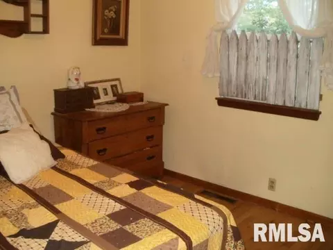 1495 E Chestnut, Canton, IL 61520 photo 18