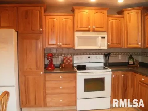 1495 E Chestnut, Canton, IL 61520 photo 7