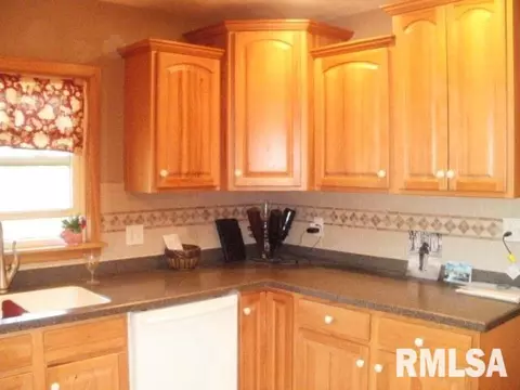1495 E Chestnut, Canton, IL 61520 photo 8