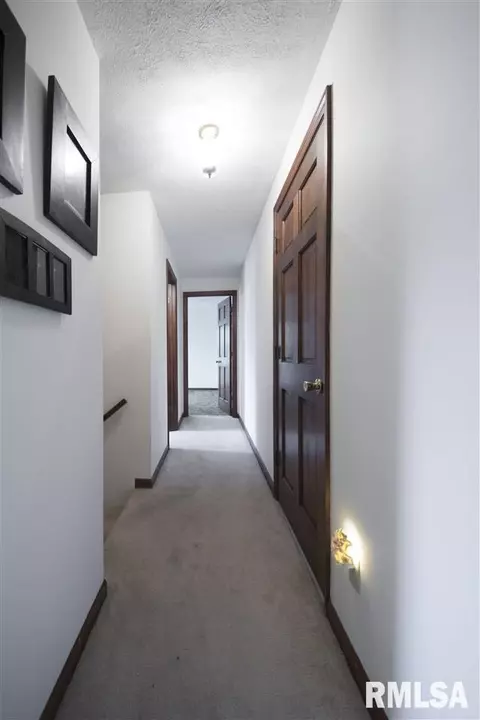 1204 County Road 1300 E, Eureka, IL 61530 photo 20