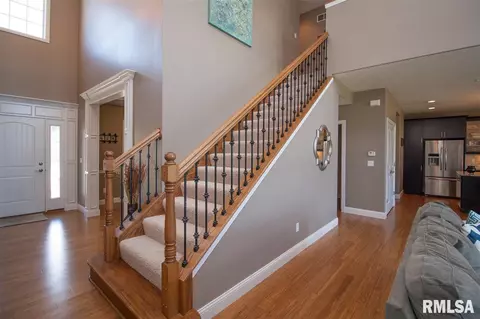 11017 N Ruby Ct, Dunlap, IL 61525 photo 11