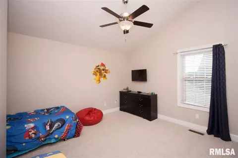 11017 N Ruby Ct, Dunlap, IL 61525 photo 20