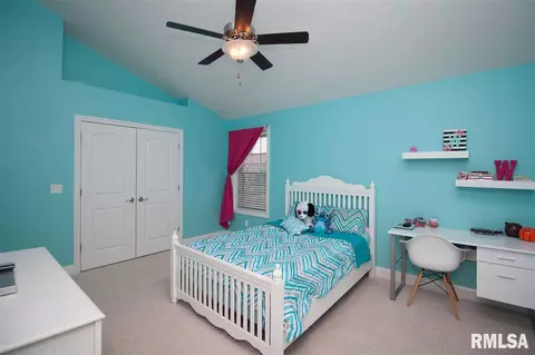 11017 N Ruby Ct, Dunlap, IL 61525 photo 18