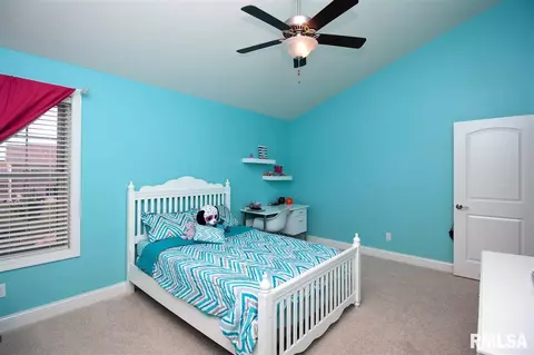 11017 N Ruby Ct, Dunlap, IL 61525 photo 19