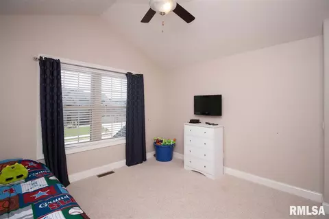 11017 N Ruby Ct, Dunlap, IL 61525 photo 23