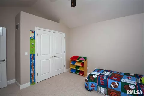 11017 N Ruby Ct, Dunlap, IL 61525 photo 22