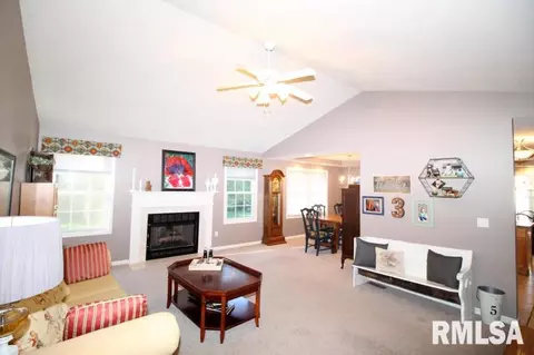 5900 W Brookmere St, Edwards, IL 61528 photo 7