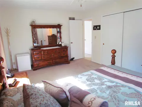 4126 S Autumn Dr, Mapleton, IL 61547 photo 20