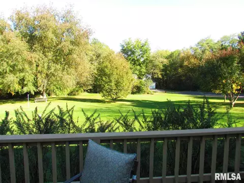 4126 S Autumn Dr, Mapleton, IL 61547 photo 31
