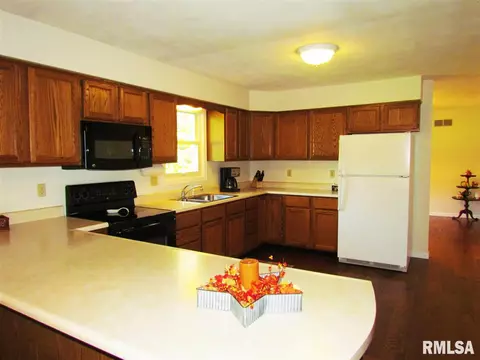 4126 S Autumn Dr, Mapleton, IL 61547 photo 12