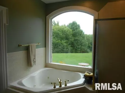 693 County Road 1375 E, Lacon, IL 61540 photo 18