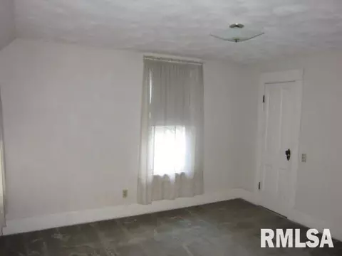 361 W Pne, Canton, IL 61520 photo 19