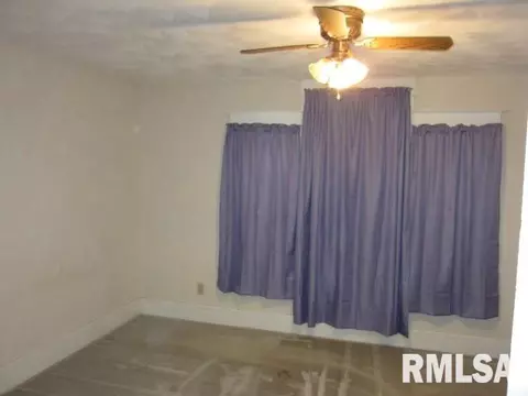 361 W Pne, Canton, IL 61520 photo 18