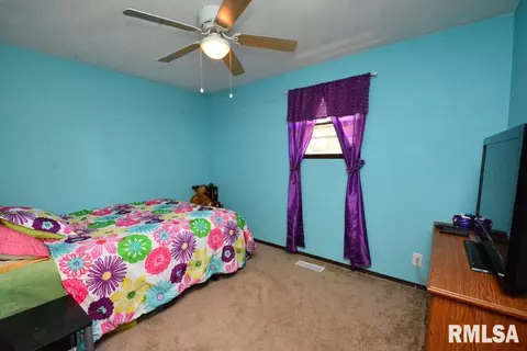 120 Breen Ave, Bradford, IL 61421 photo 21