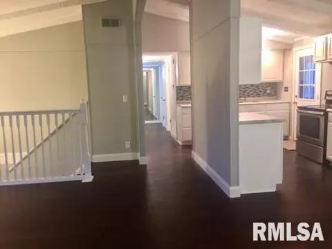 4125 S Lake Camelot Dr, Mapleton, IL 61547 photo 3